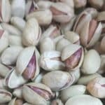 موتور قایق یاماها 15